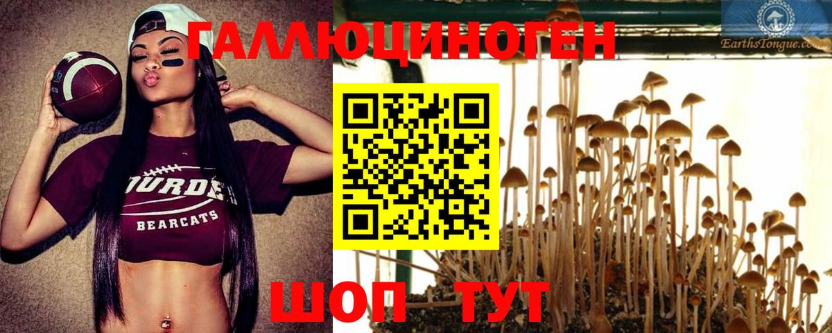 Галлюциногенные грибы GOLDEN TEACHER Елец