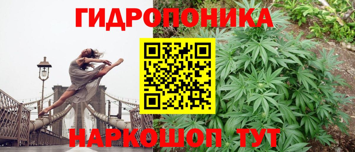 Марихуана Amnesia  Вход с VPN  Елец  Каннабис VHQ 